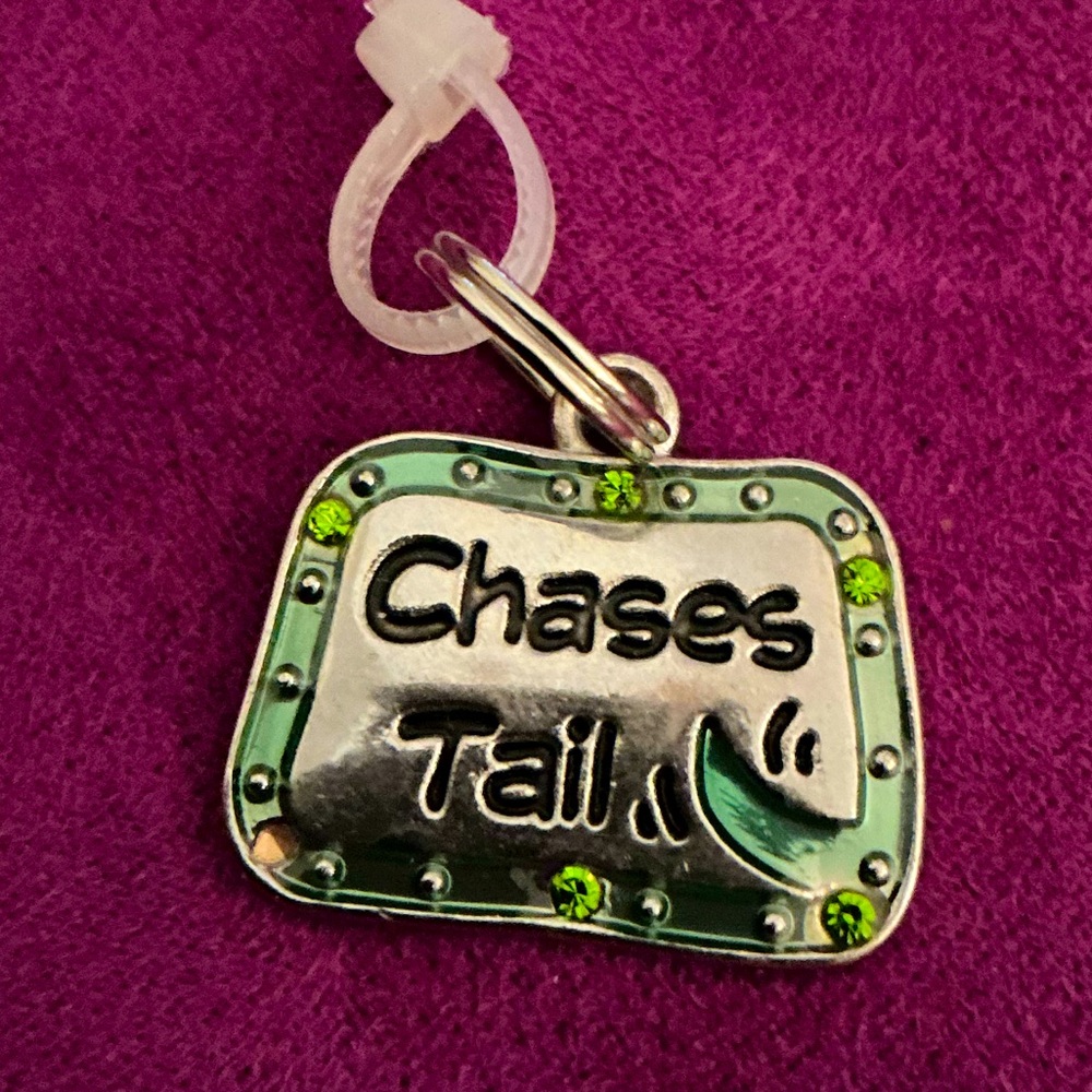 GANZ Pet Collar Charm Tag “CHASING TAIL”